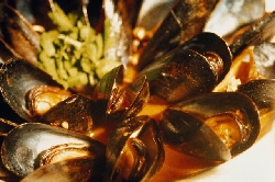 ���� �������... ������