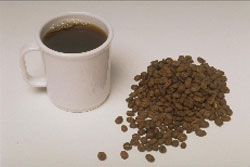 ���� ���������� ���������� ���� ����������