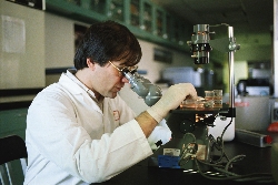 ���������� ����� �������� � ������� ������������ ������������