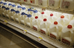 ������������� �������� �������� �������� ����