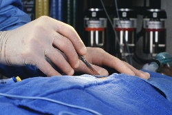 ���������� ������� ��������� ������, �� ���������� ��������