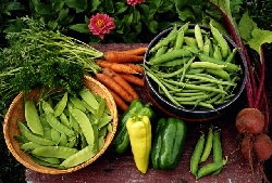 ����������������� ����� ������������� ������� �����������