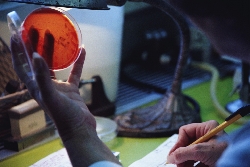 � ���������� �������� ������ ����������� ������� � ������������� ������