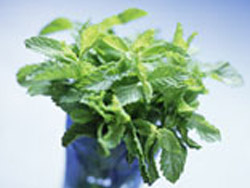 ������������ �� �������� �������� ��������� � ������� ���������� ������